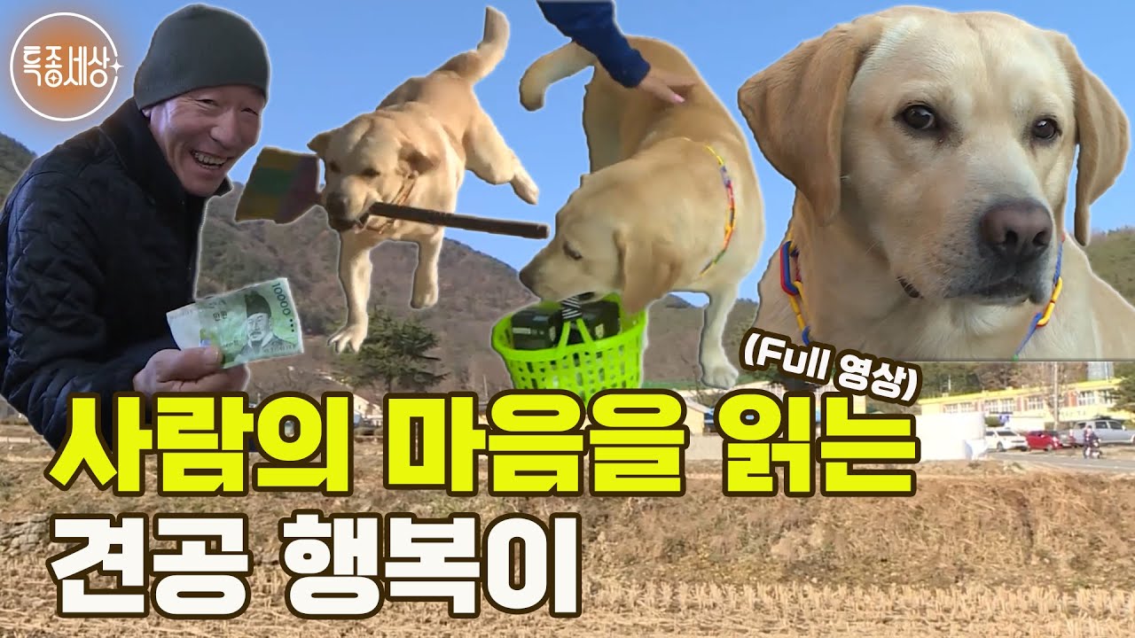[특종세상] 라면 먹을 때 알아서 파를 가져오는 견공, 사람의 마음을 읽는 행복이 [Full영상]