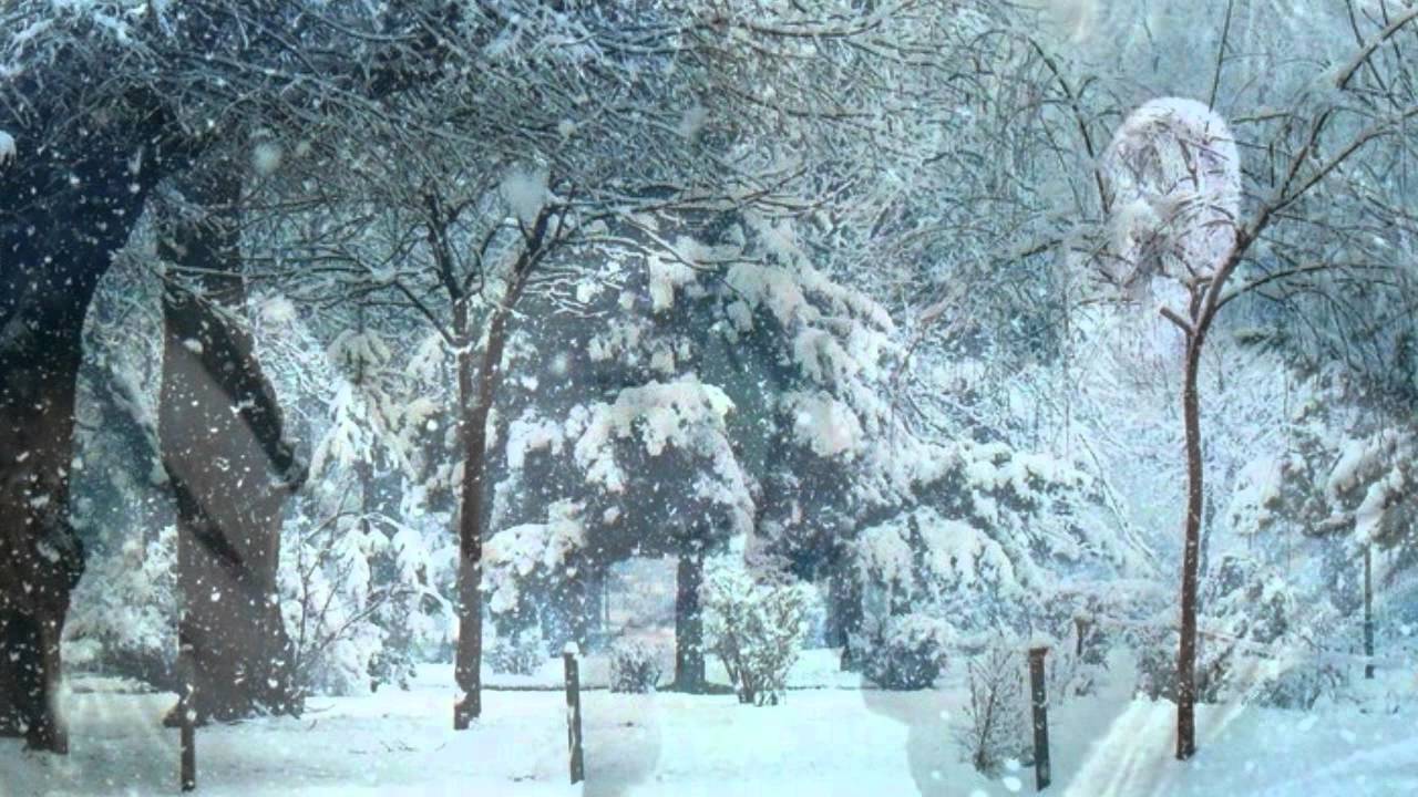 Kor&ccedil;a - Dashnor Diko