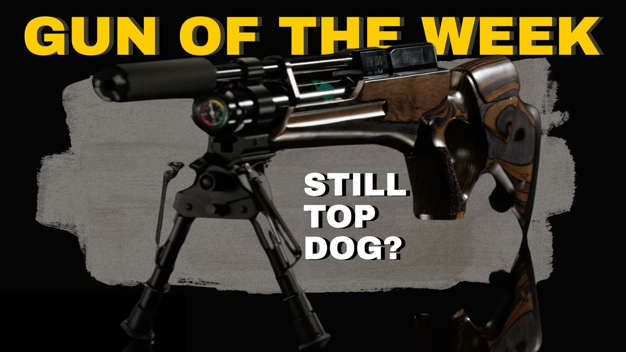 The Gun So Many Airgun Shooters Still Recommend - Weihrauch HW100KT LAM