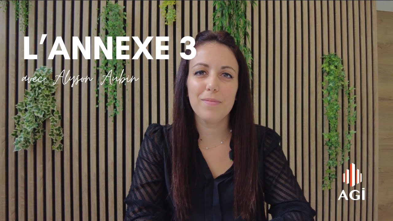 Document Comptable - Annexe 3