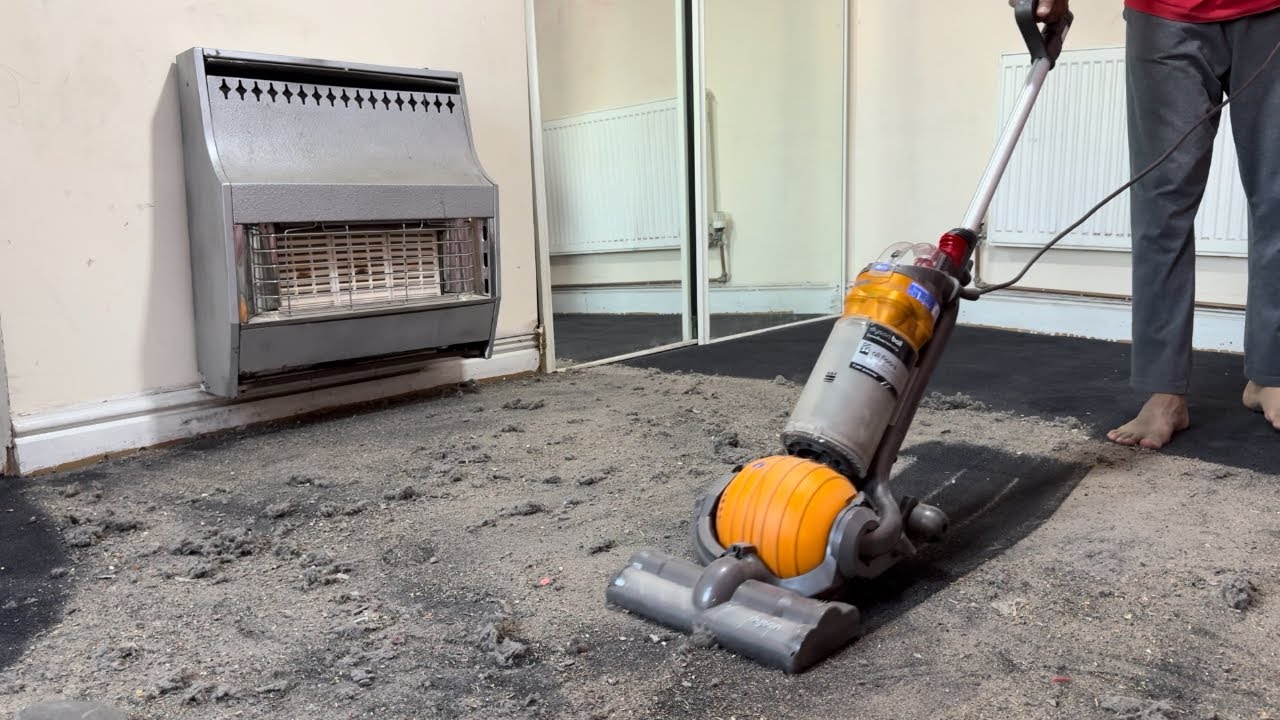 Dyson Ball DC24 All Floors vacuum cleaner - Performance Testing