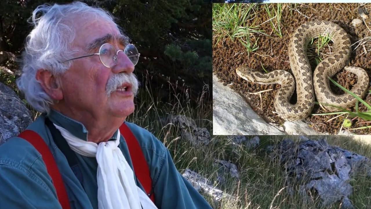 [AHPAM] Jean-Pierre BARON - Ecologue, Herpétologue, Chercheur indépendant. 2016
