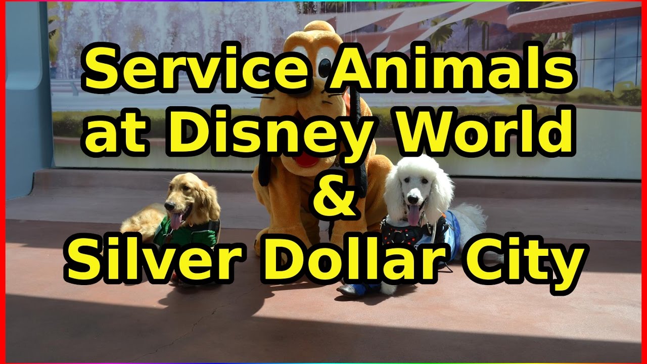 Service Dogs at Disney and Silver Dollar City- Ep 56 Confessions of a Theme Park Worker