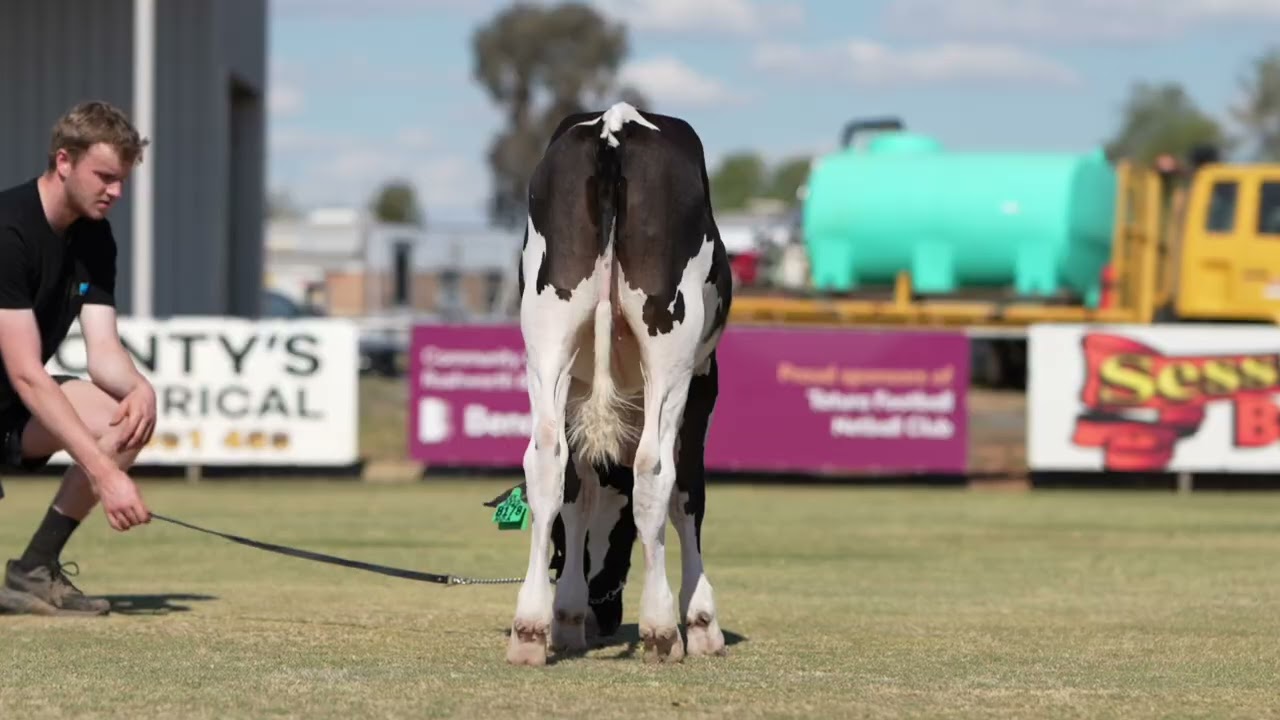 LOT 9 - Cypress Grove B187 Shakira ET
