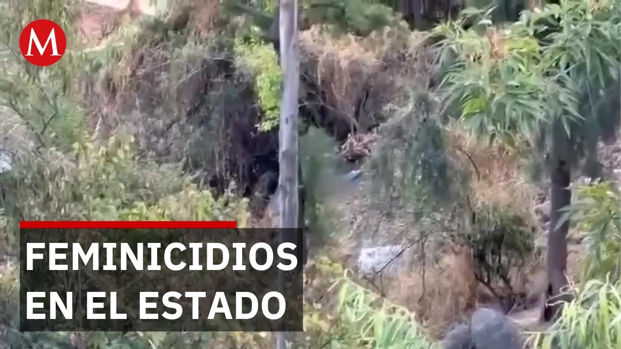 Doble feminicidio en Guanajuato: ataques en diferentes puntos del estado