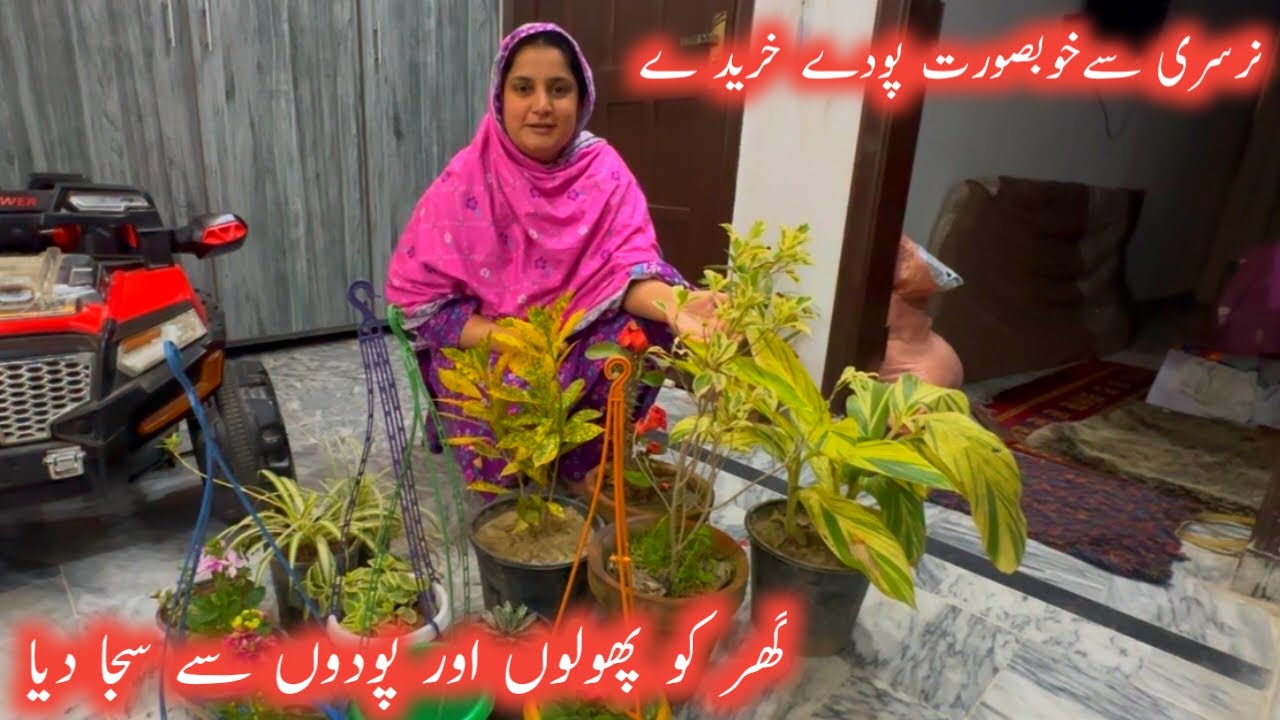 Khobsorat plants sy ghr bhr dia | ghr saja dia 😍| sidra ki shahzadiyan 