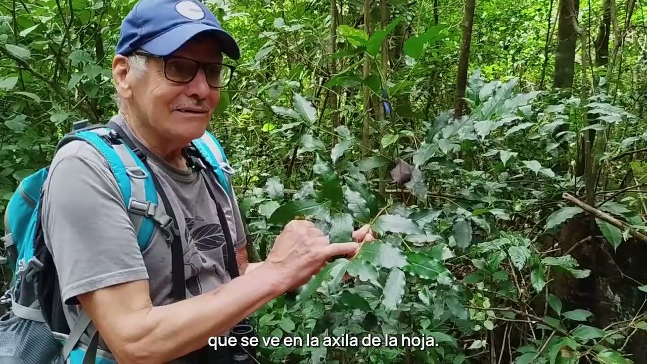 Entrevista Eladio Cruz Leitón (Clima, Cámaras, Acción, Monteverde 2025)
