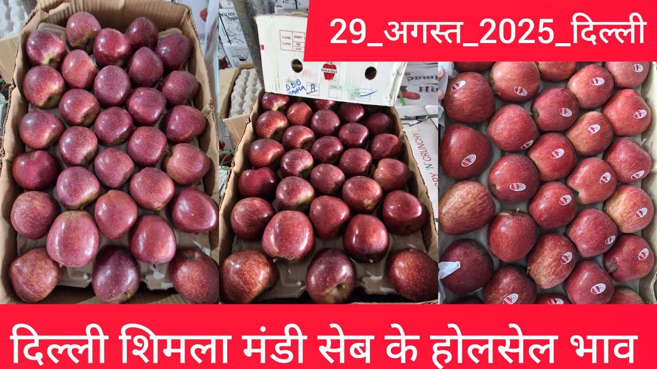 August 29, 2025 दिल्ली 🍎 सेब के होलसेल भाव Delhi mandi today apple market price #applemarket 