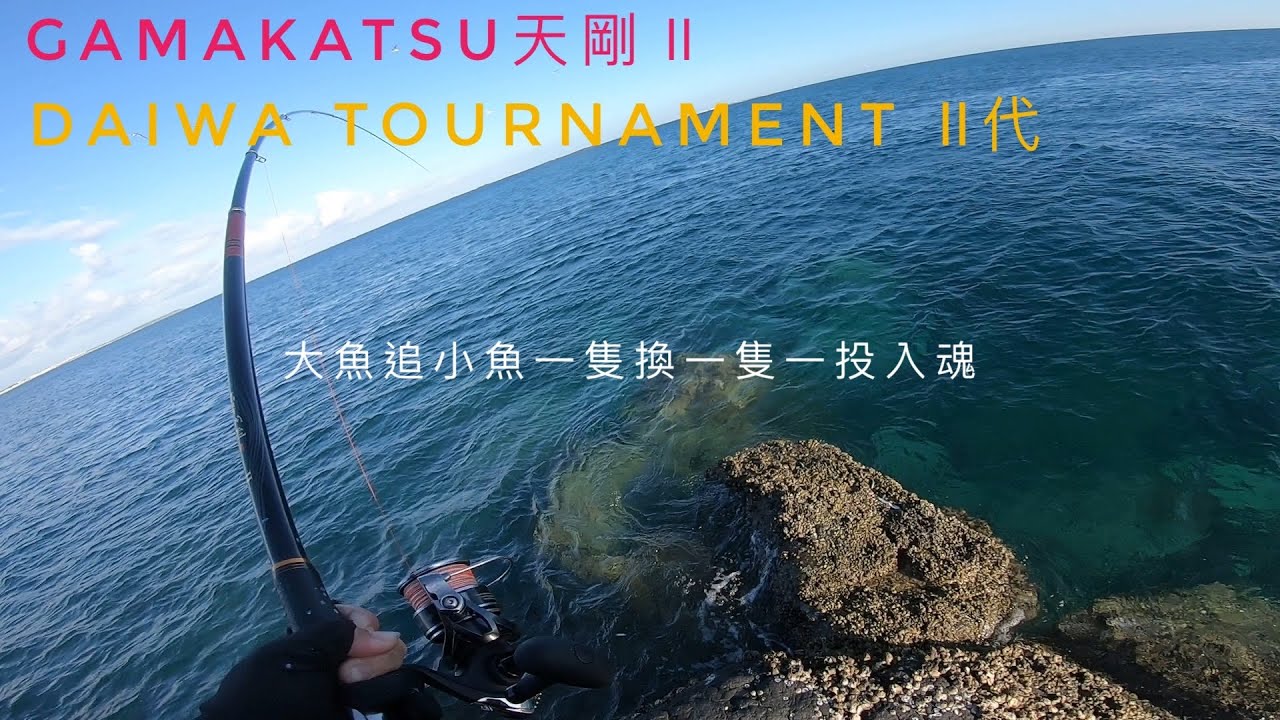 磯釣 澎湖 放流 一隻換一隻