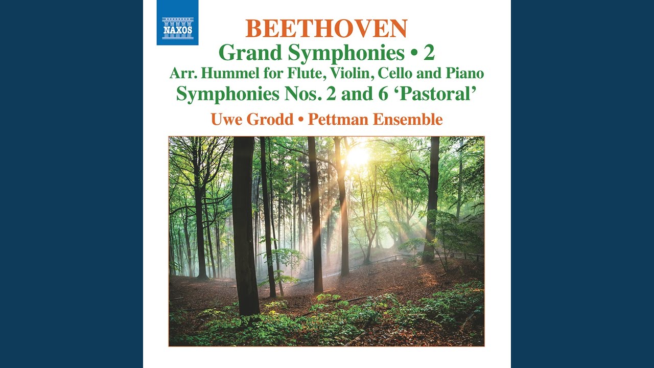 Symphony No. 2 in D Major, Op. 36 (Arr. J.N. Hummel for Flute & Piano Trio) : II. Larghetto