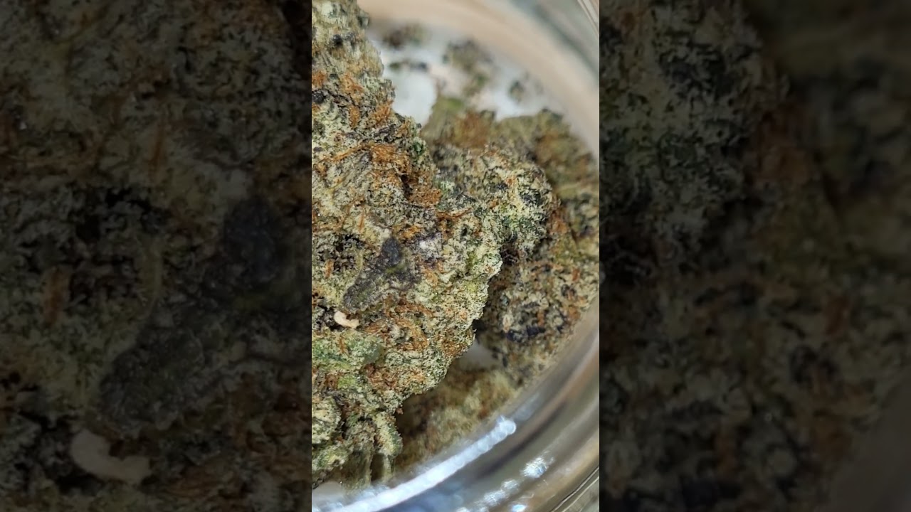 Georgia Velvet 28%thc #vegas #lasvegas #420 #thc