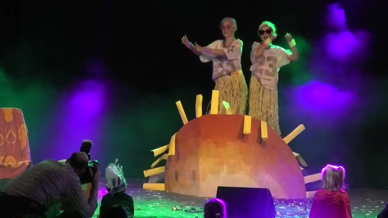 Carnaval 2026 Playbackshow bovenbouw Frederique en Feline