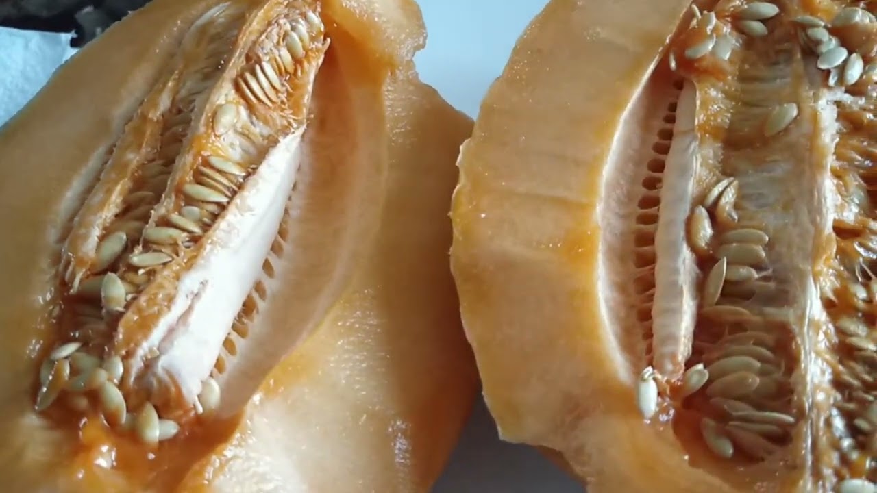 Yummy yummy