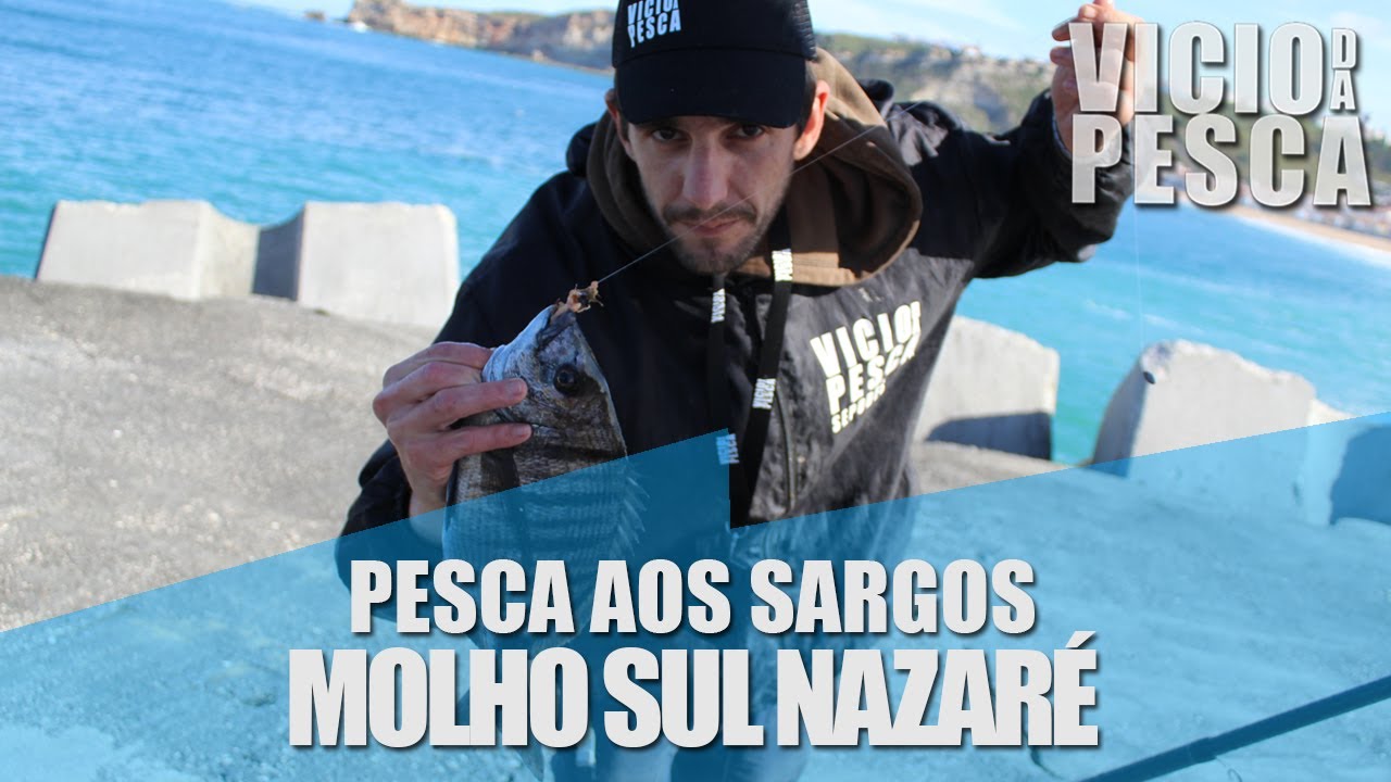  PESCA AOS SARGOS "  MOLHO NORTE NAZARE  " VICIO DA PESCA #1 