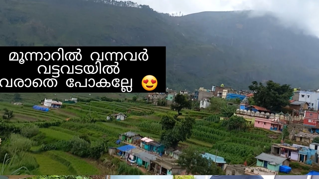 മുന്നാറിലെ വട്ടവടയിൽ സ്റ്റോബെറി തോട്ടമോ 🤔🍓🍓