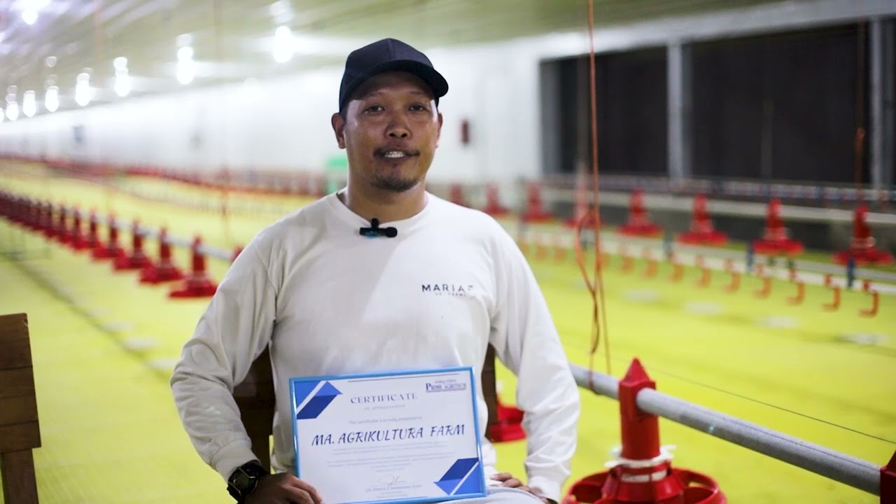 First CCS 4 Poultry House ( CCS3-Elevated) Constructed in the Philippines