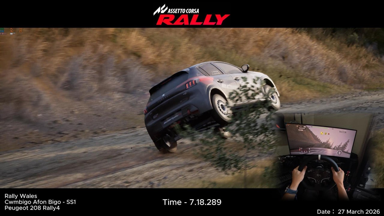 Dancing on gravel - Assetto Corsa Rally | Wales SS1 | 208Rally4
