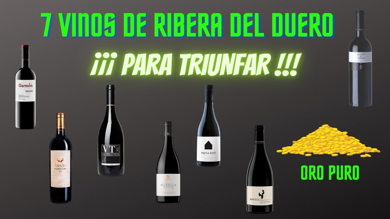 👑​👑 VINOS DE RIBERA DEL DUERO.  💫​💫[[[ 7 JOYAS que NUNCA fallan ]]]