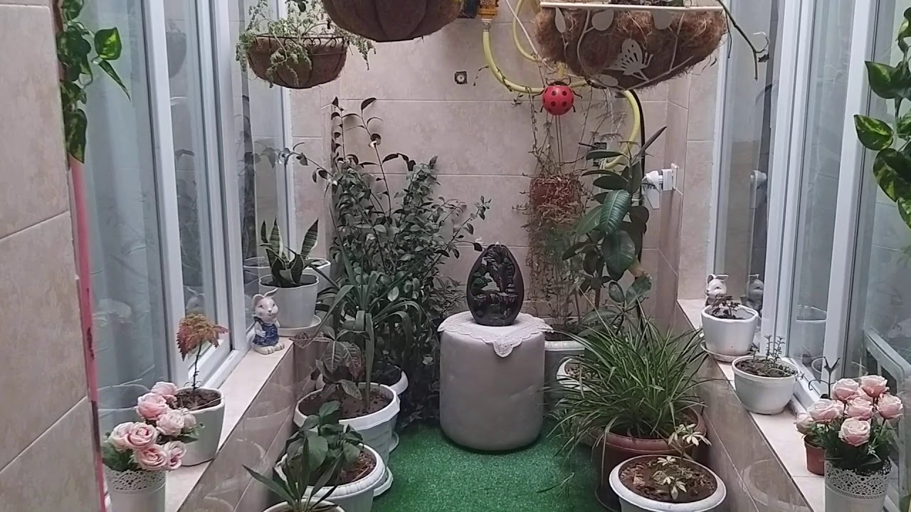 ٢٦ تشرين الثاني ٢٠٢٠