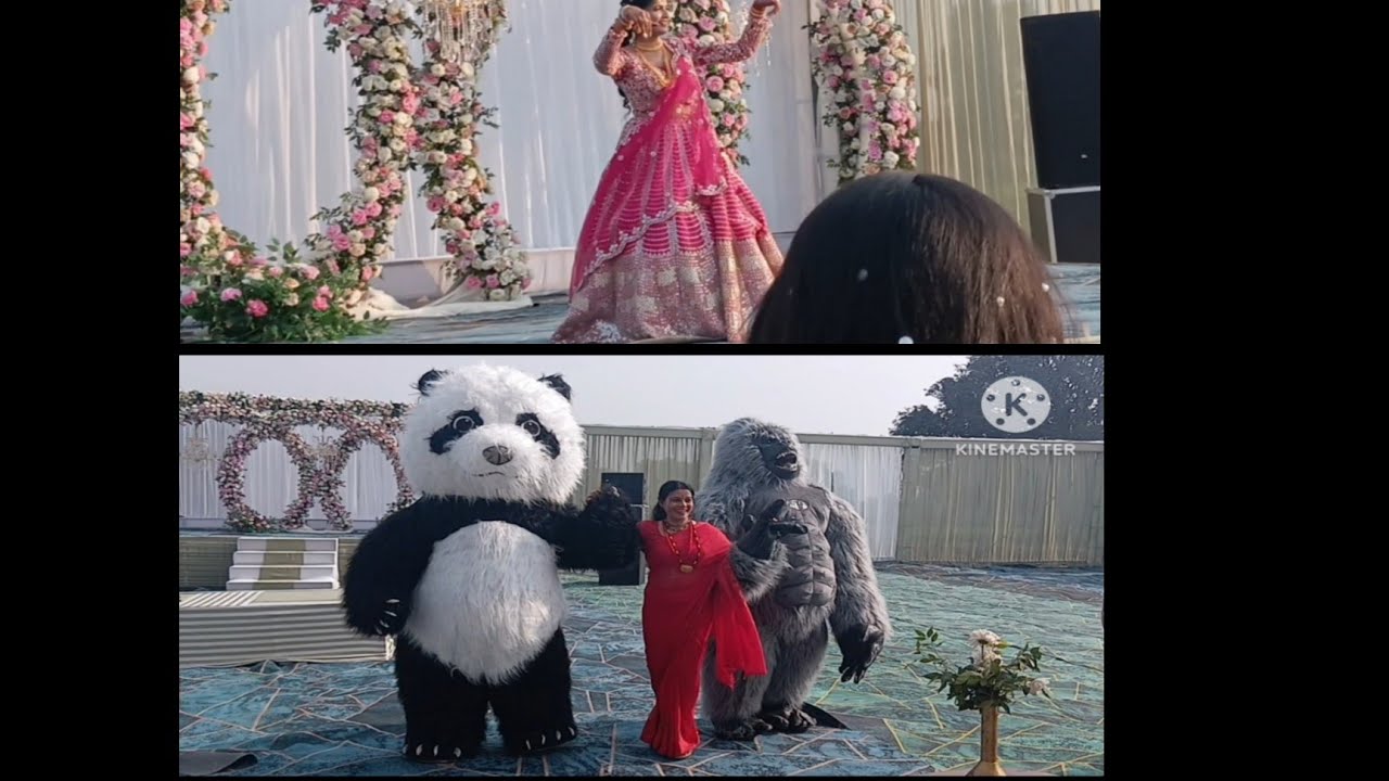 Sadi main aaye panda 🐼 or gorilla 🦍 (weeding season (day-6)