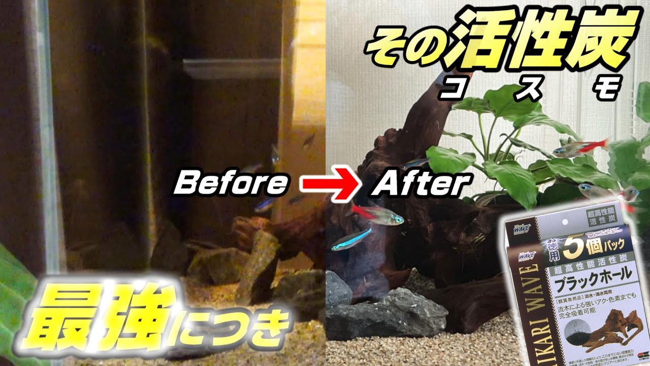 【流木アク抜き】圧倒的吸着力のブラックホール、たった数時間で茶色の水がピッカピカの透明に！流木レイアウトの必須品！#aquarium #水草水槽 #エーハイム #流木#アク抜き