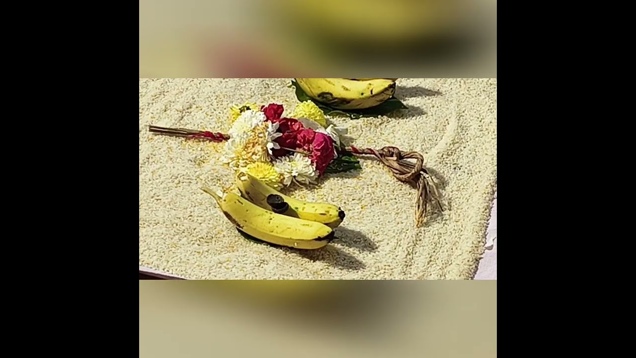 గోదాదేవి కల్యాణ మహోత్సవం పార్ట్ -1- ఆలూరు గ్రామం
