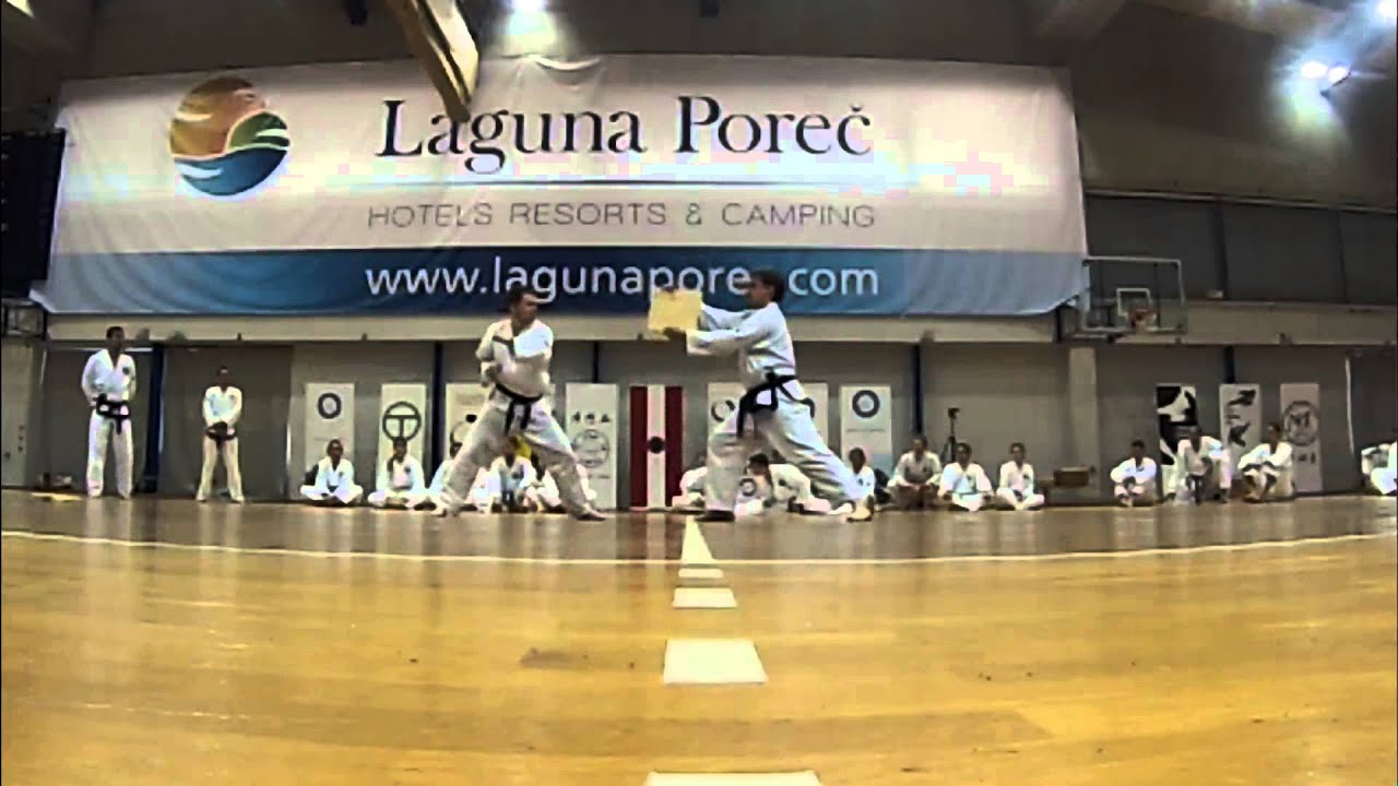 Taekwondo Graz Jahresrückblick 2013