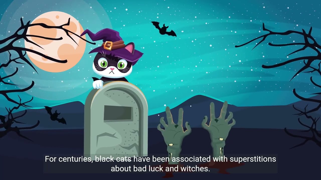 Black Cats: Debunking the Unlucky Myth