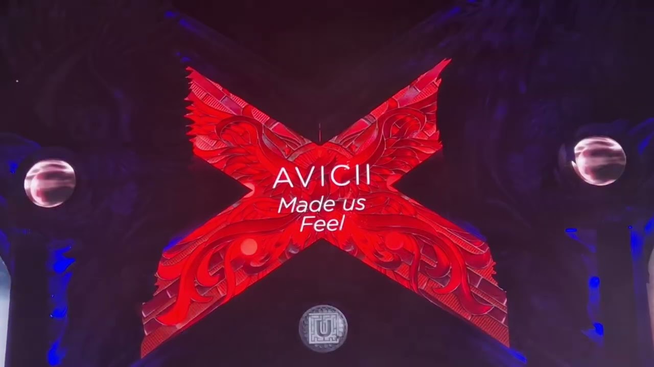 Avicii - Untold 2025 - Special Moment Memoriam 🙏
