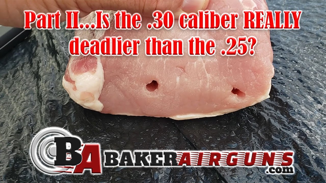 PART II...What's deadlier, a .25 or .30 caliber airgun?