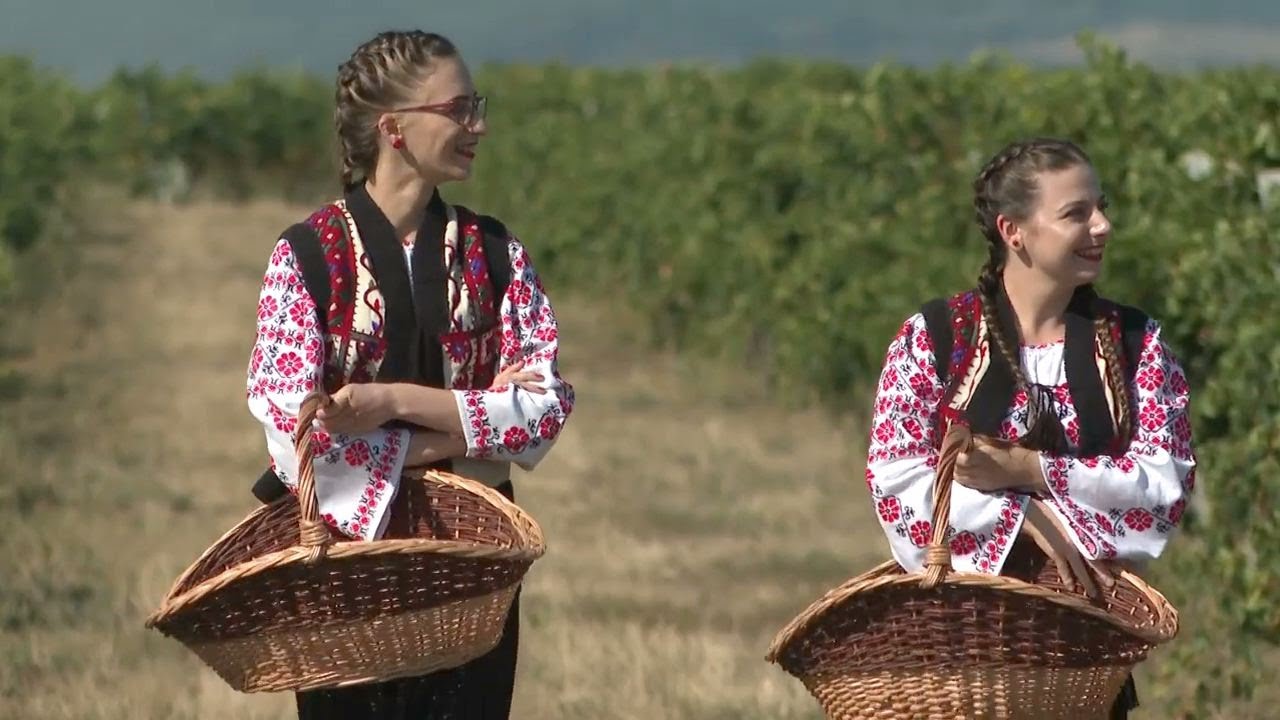 Exclusiv în România: Cotnari, o istorie vie (@TVR1)
