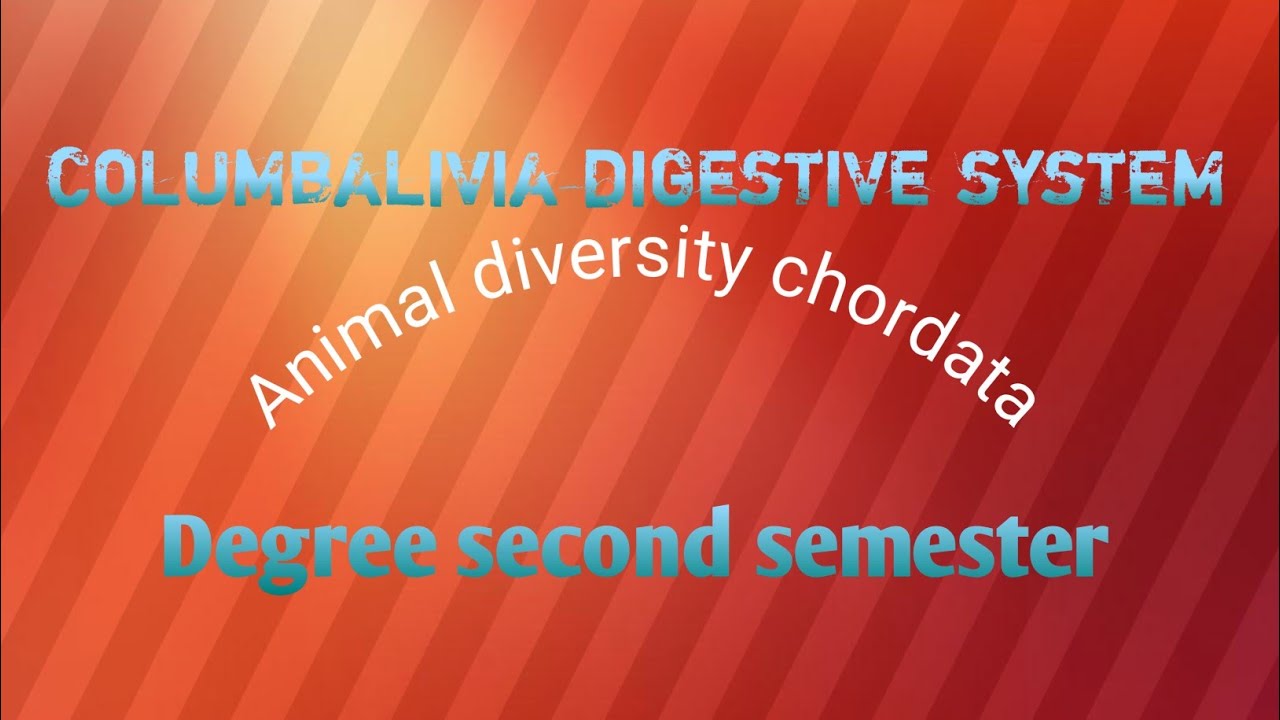 II.b.zc 2nd sem zoology Topic- -Columbalivia digestive system#Chordata