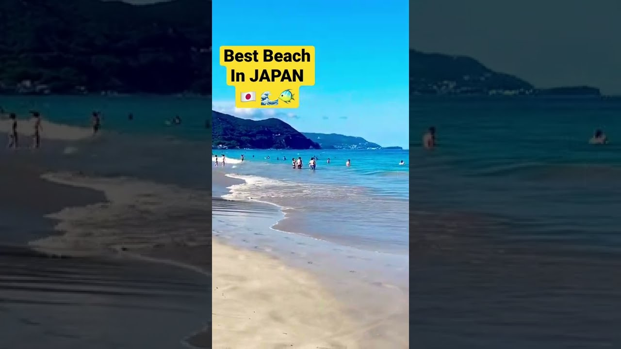 Amazing Beach 🏖 🐬🌊in JAPAN 🇯🇵 #beach #beachlife #japan #sea #summertime #short #happy #sea