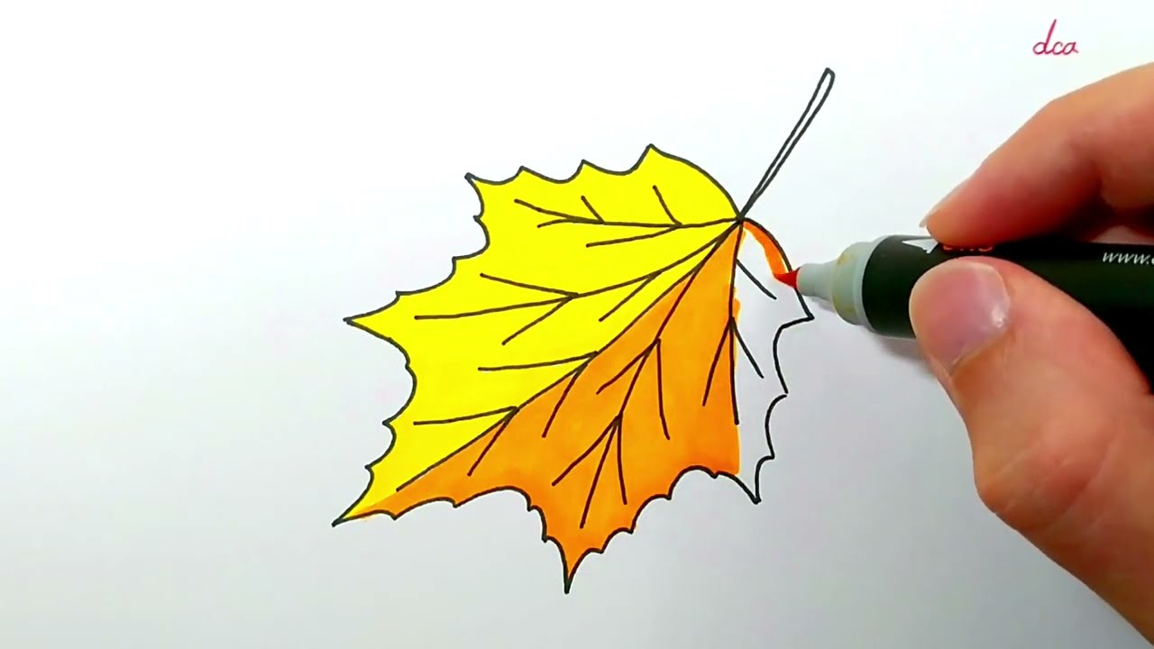 How to Draw an Autumn Leaf