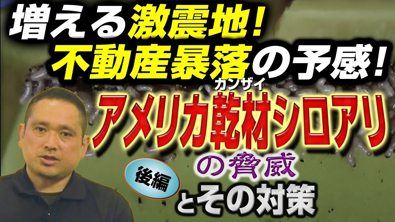 「アメリカ乾材シロアリの脅威とその対策」（後編）