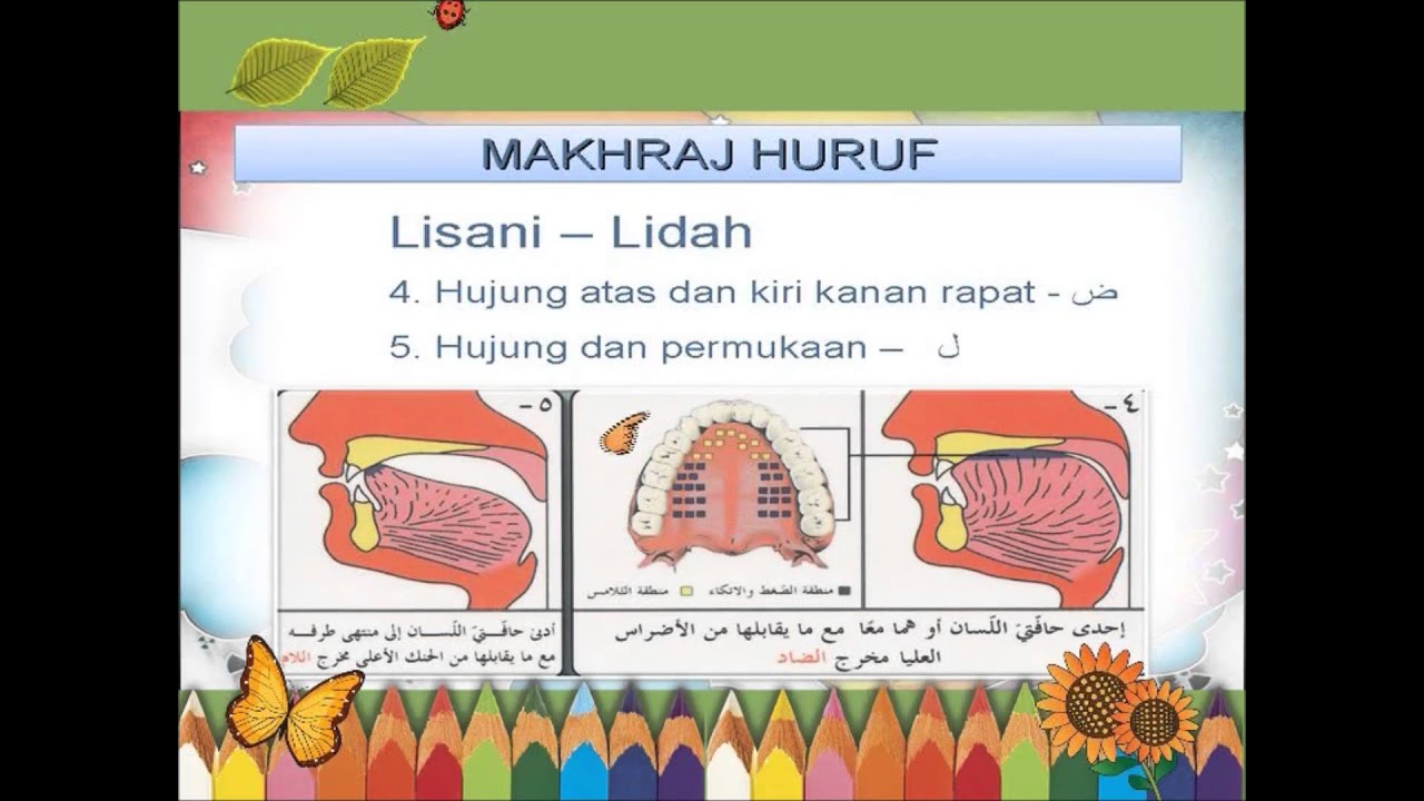 Belajar Tajwid - Sebutan Makraj Huruf ( secara santai...) menarik