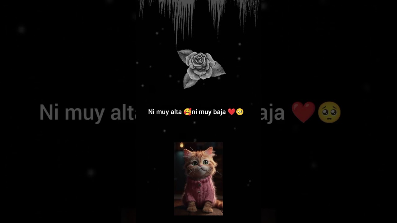 te amor 🥺❤️ mi chaparrita 💕 hermosa 😍👑