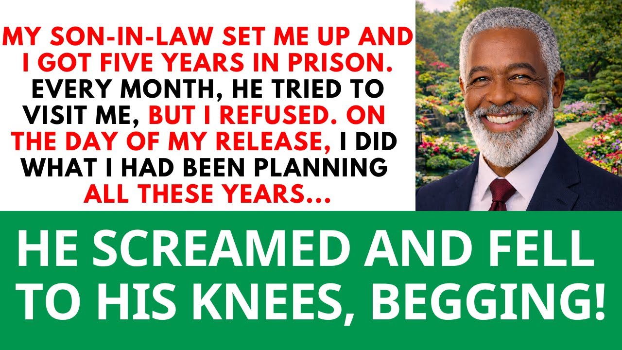 My son-in-law framed me for a crime and sent me to prison — on the day I was released, he lost...