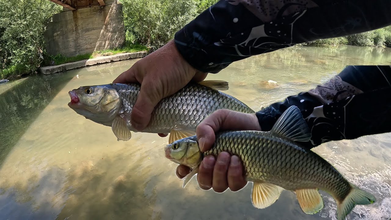 Cel mai PRINZĂTOR VOBLER - Spinning la CLEAN