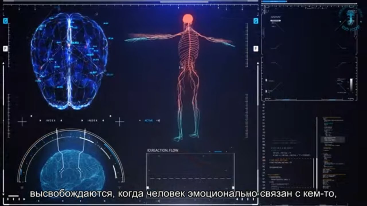 Любовь и ненависть. Взгляд каббалиста