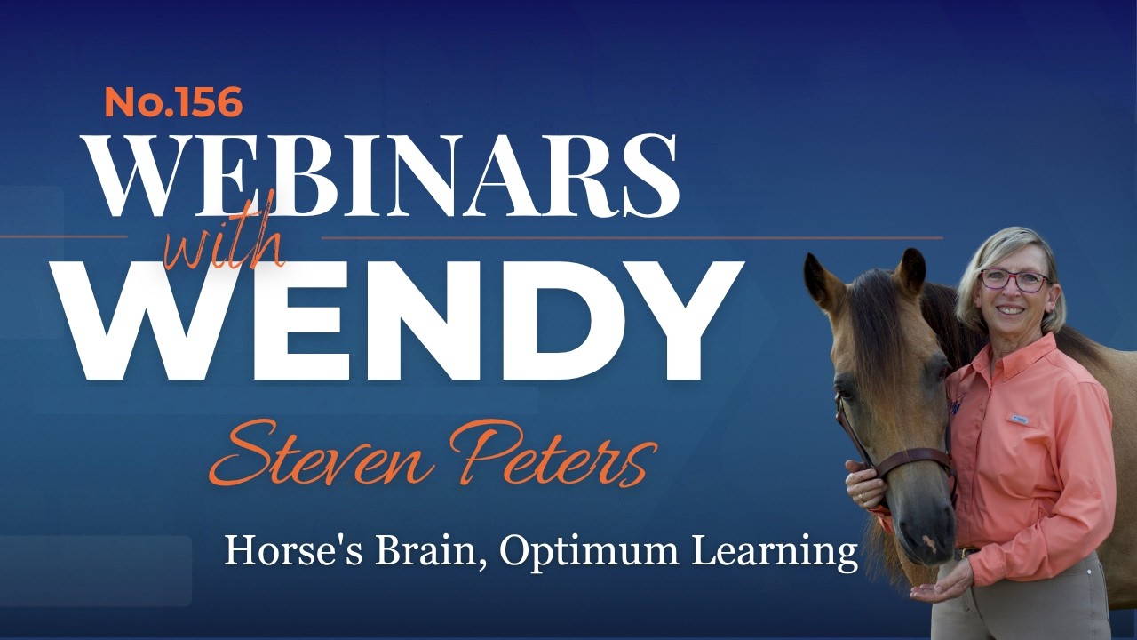 No. 156. Dr. Steve Peters: Horse's Brain, Optimum Learning