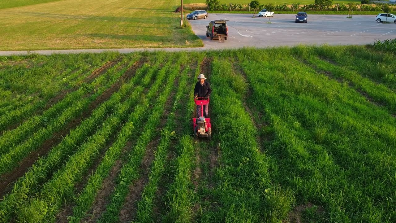 test dji  Mavic mini