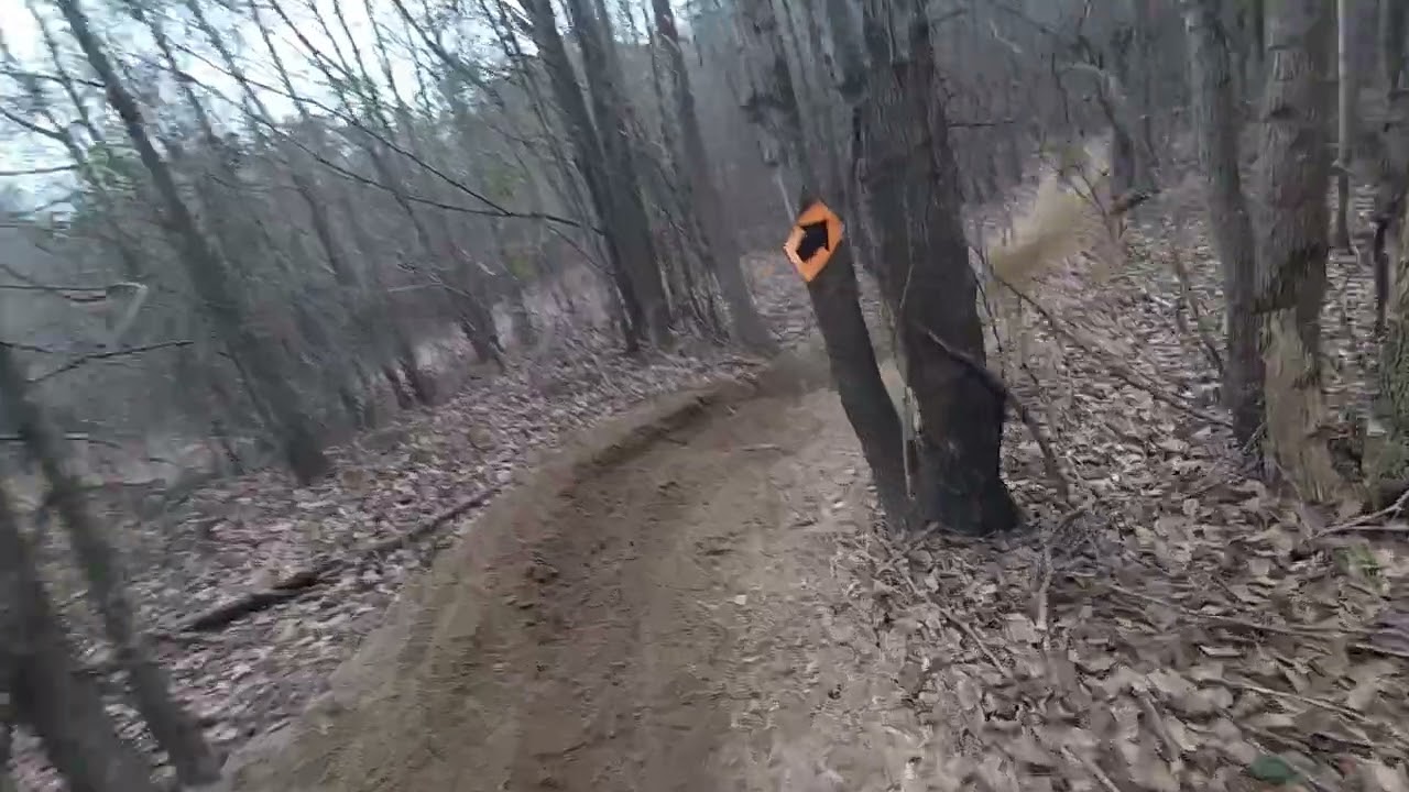 SORCS Buena Vista 250A 1823