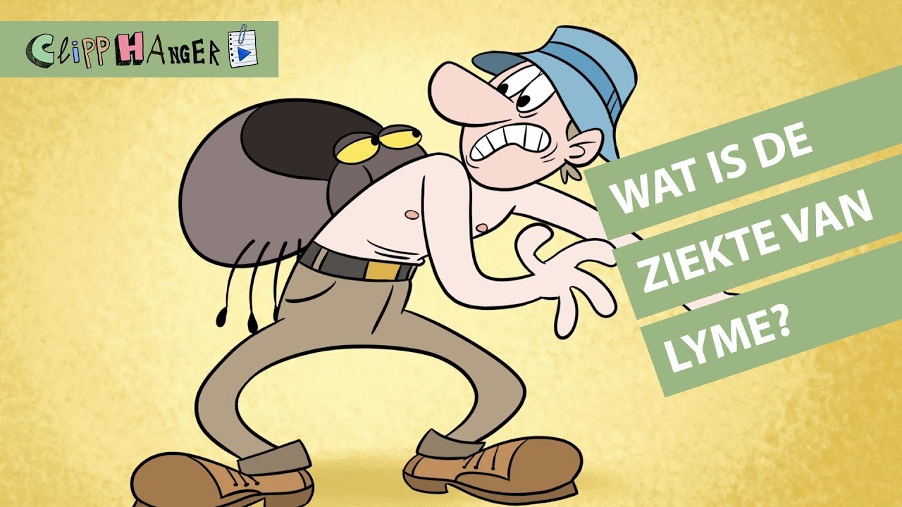 Wat is de ziekte van Lyme?