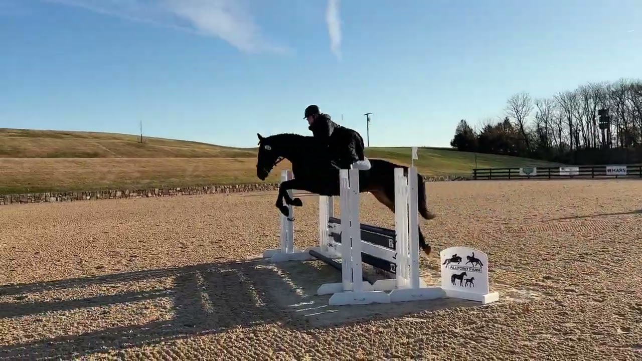 Brooklyn 11/14/2025 Morven Park YHS schooling o/f