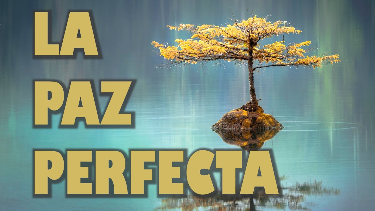 La paz perfecta - Cuentos cortos y Reflexiones para el alma