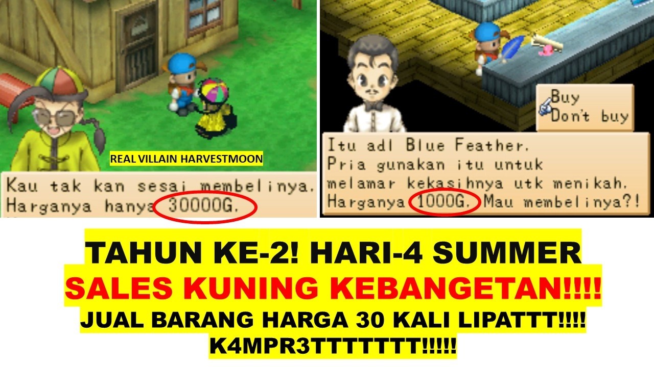 HARVEST MOON BACK TO NATURE TAHUN KE 2 SUMMER 4 SALES KUNING ANOMALI HARVEST MOON