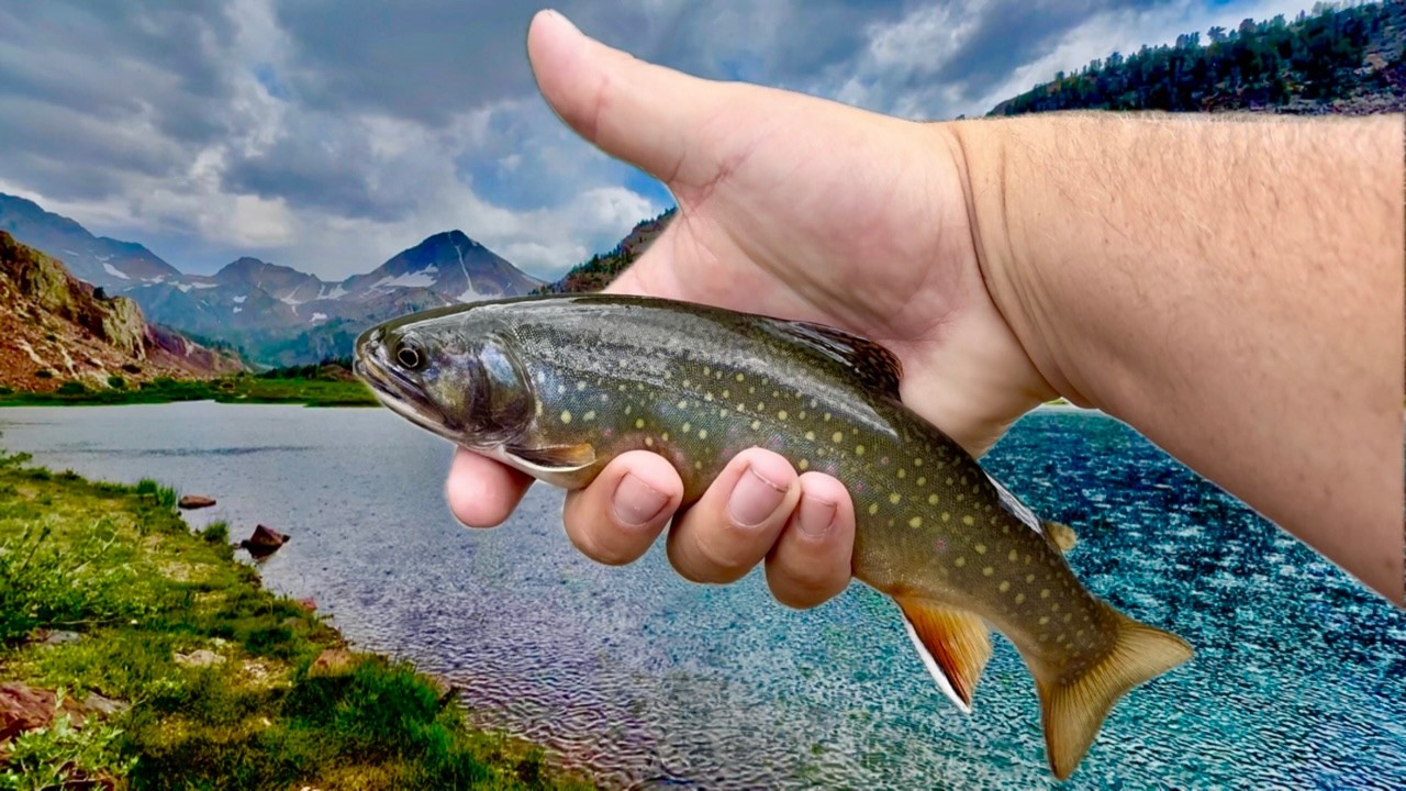 4 Days Fly Fishing Above Convict Lake in Crazy Storm | Convict Creek Trail | Backpacking the Sierras