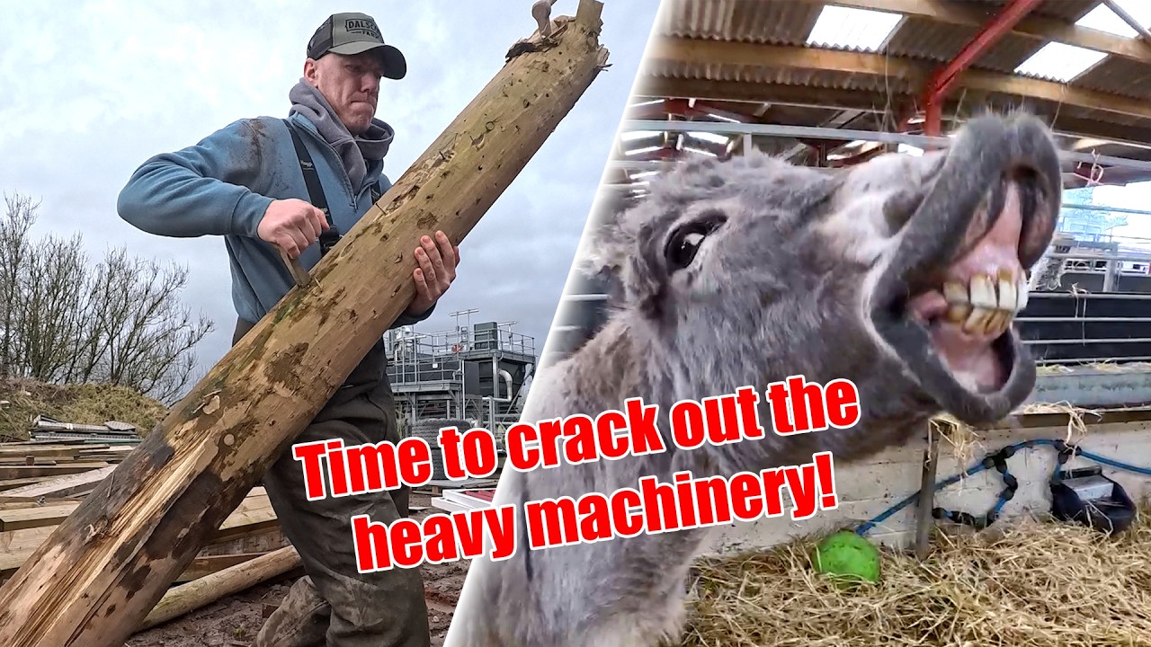 Farm Repairs Calls For Hard Work…. Going Back To How The Vlogs Started! 