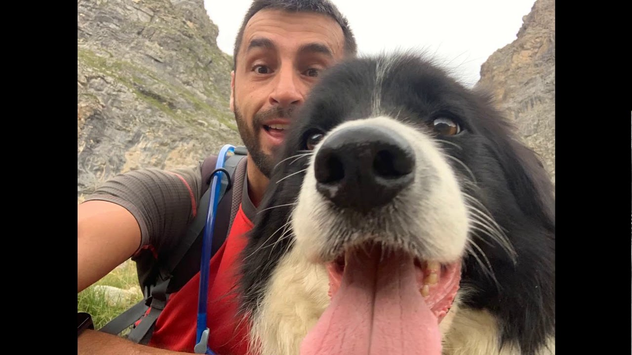 Jasperino ed i suoi 3 anni con EmpathyDOG!